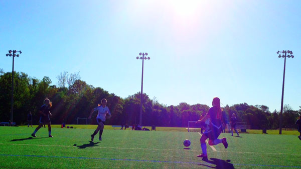 sunny-turf-field Strikers Logo