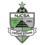 NJCSA logo