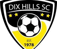 dix-hills Strikers Logo