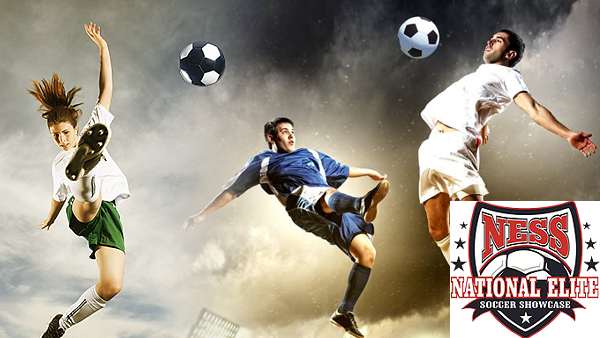 ness-header3 Strikers Logo