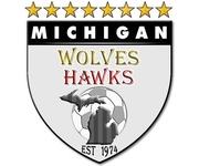 MichiganWolvesHawks-logo