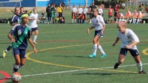 bethesda-casl-ecnl1