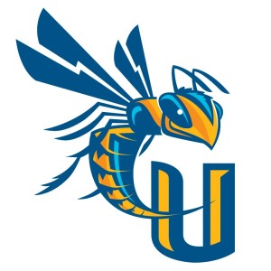 cedarville-university