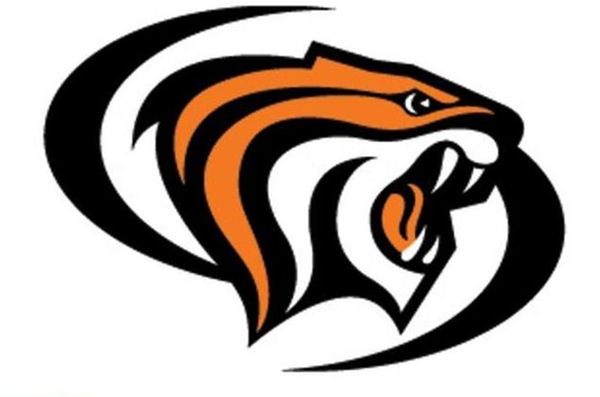 0a1kipm06r6bmr2v Strikers Logo