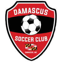 Damascus Soccer Club Logo