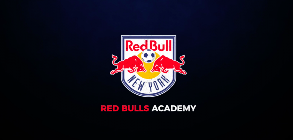 red-bull-academy-sw