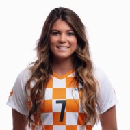 BRICKlindsey