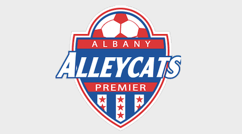 albany-alleycats