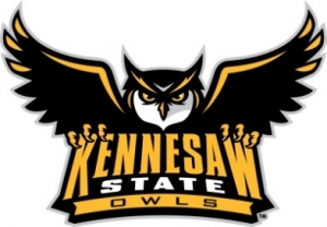 Owl new image001.story image