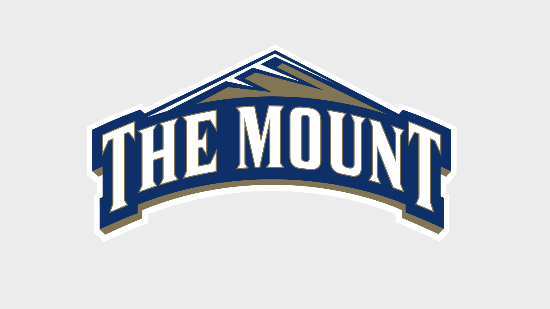 Mount St. Mary's University