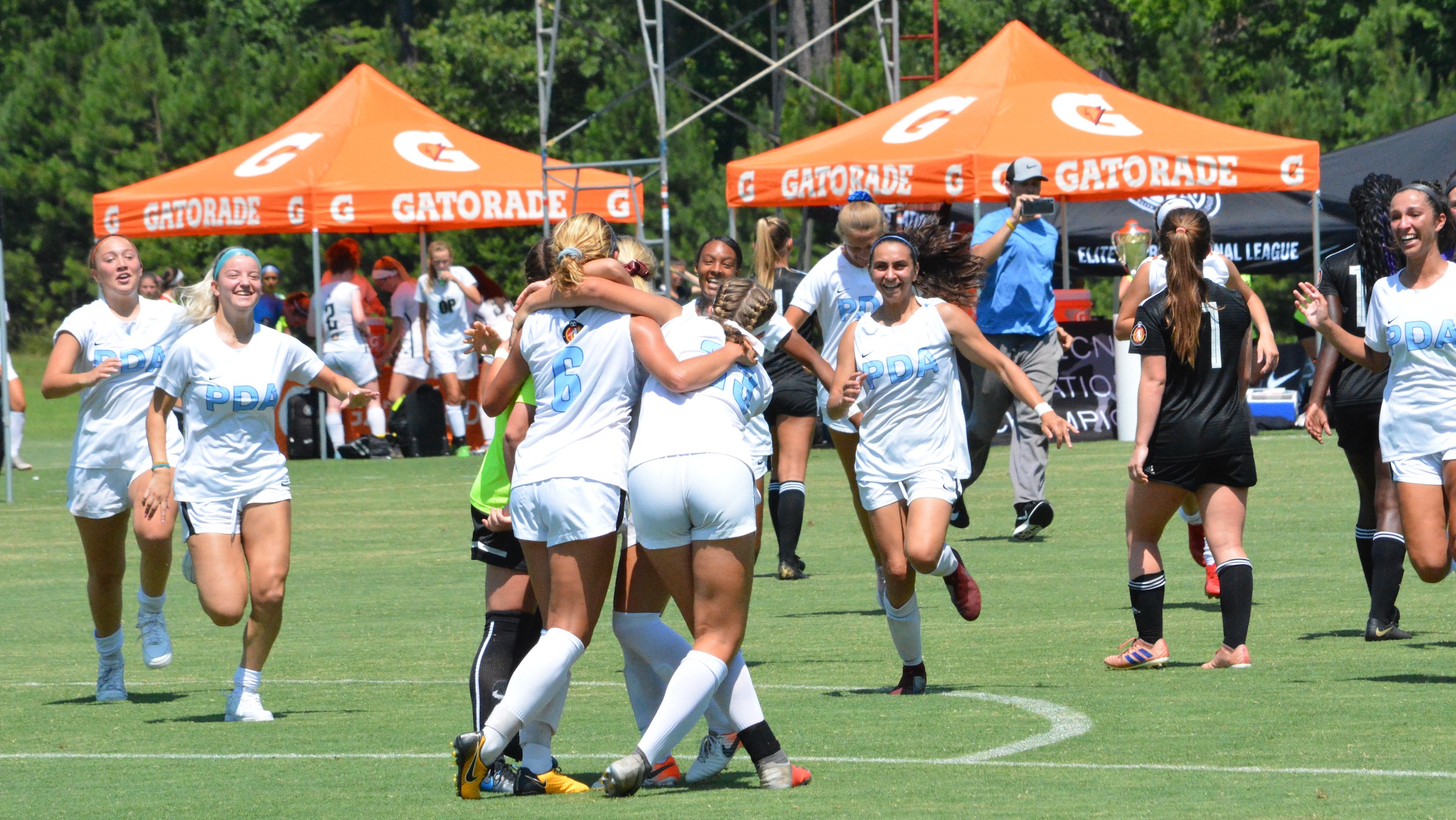 pda-ecnl-champs