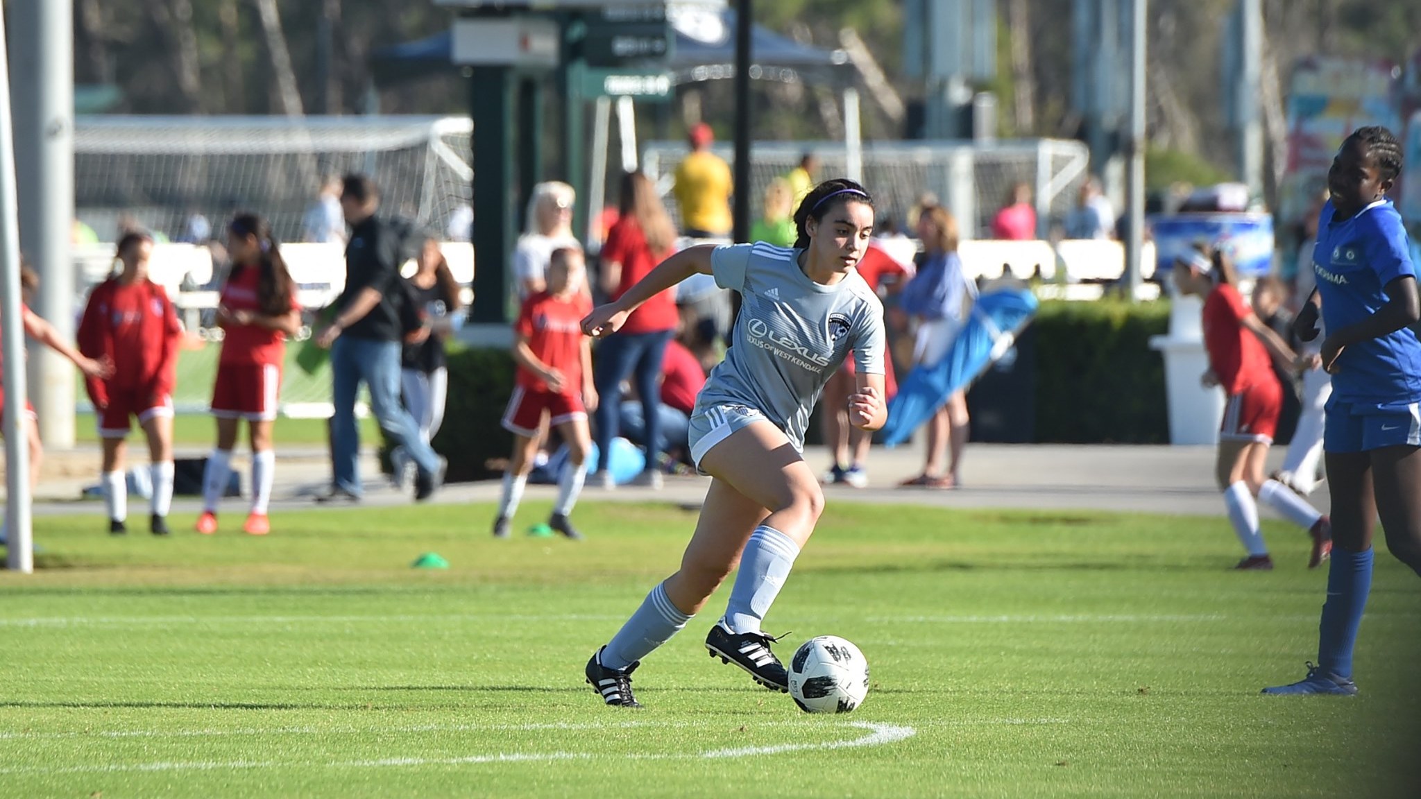 pinecrest-premier-girls