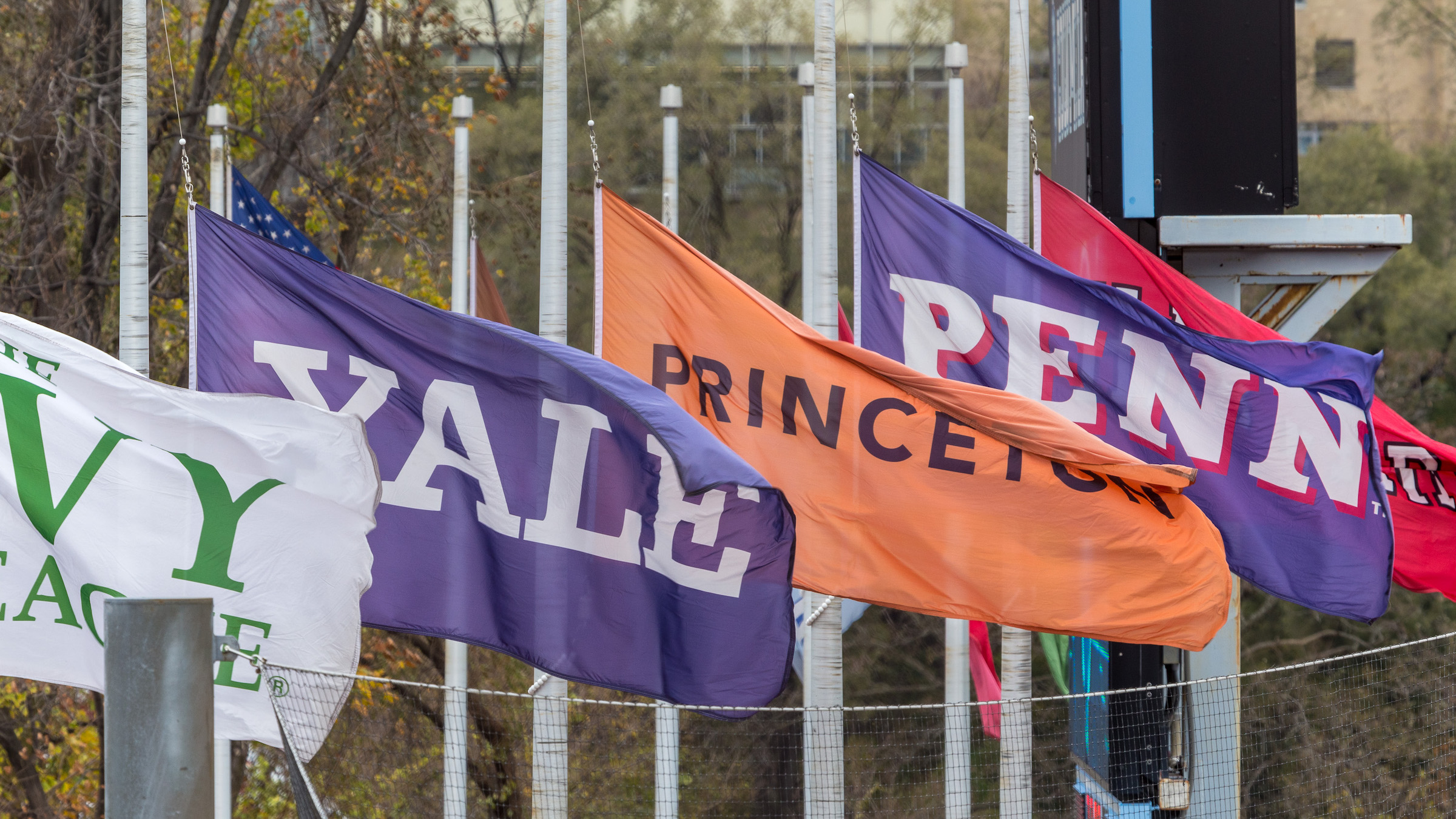 Flags of the Ivy League
