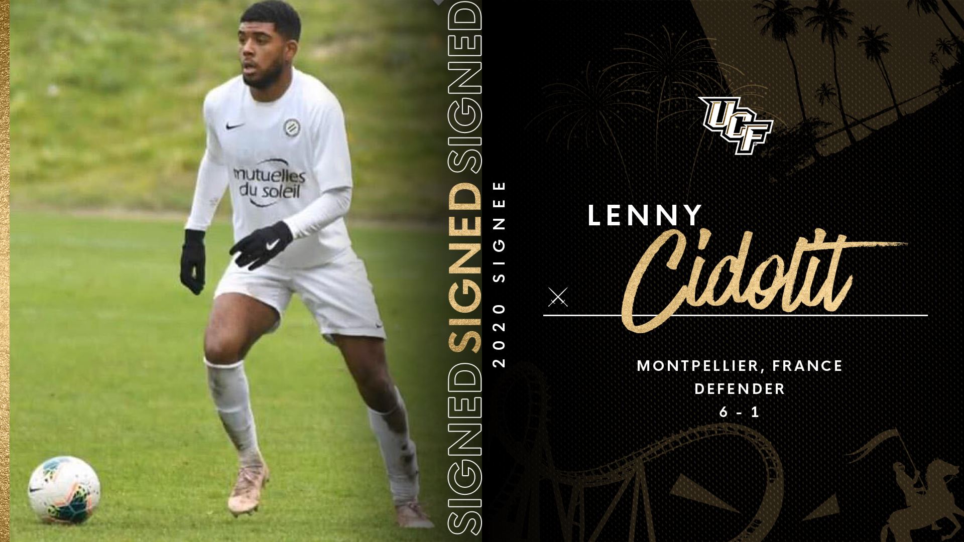 Lenny_Cidolit_Wide.png