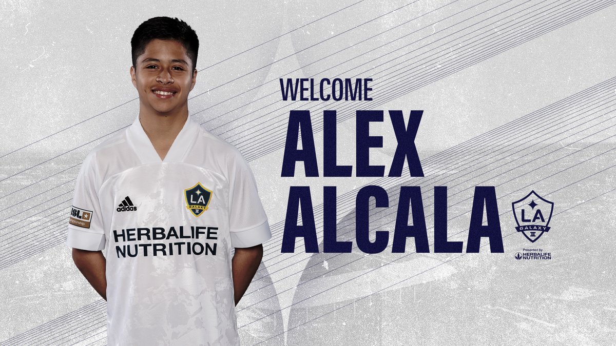 la galaxy academy director