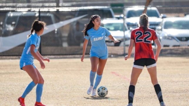 ecnl-gonazez