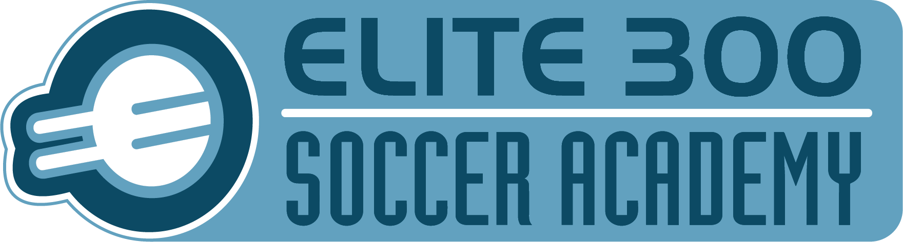 entry-52-e300_logo