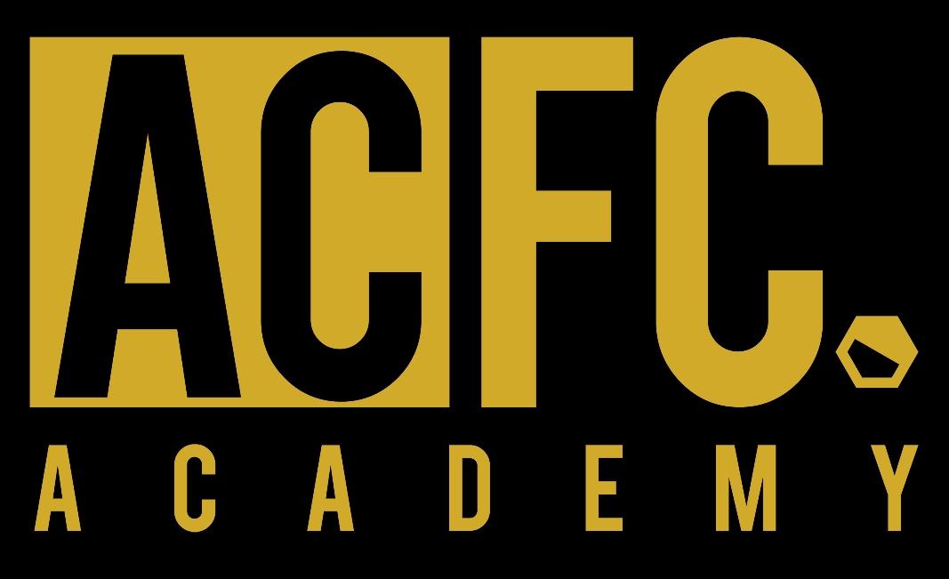academy_alicantecityfc_logo..jpeg