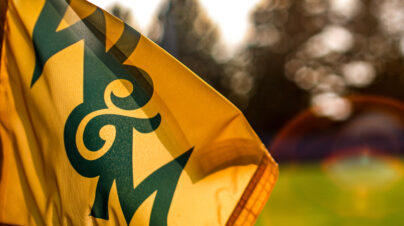 william-mary-flag